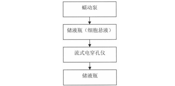 蠕動(dòng)泵在細(xì)胞懸液進(jìn)行流式電轉(zhuǎn)染中的應(yīng)用